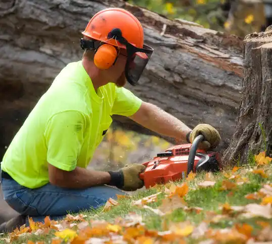 tree services Thayer